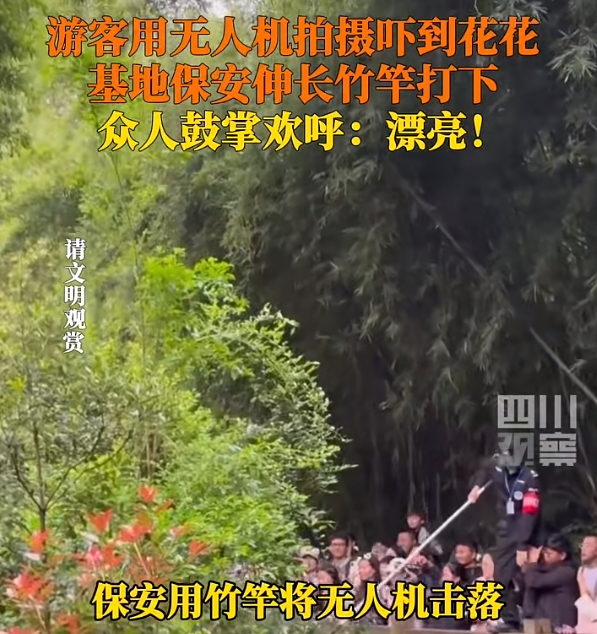 1èŠ±èŠ±æ— äººæœº2.png