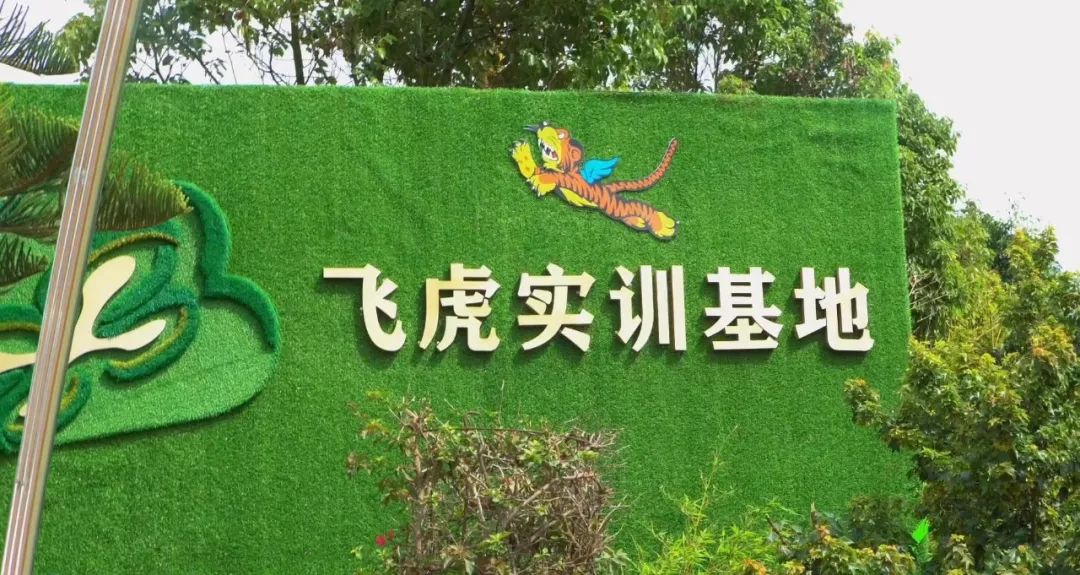 feihué£žè™Žå®žè®­åŸºåœ°.jpg